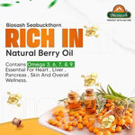 Biosash Sea Buckthorn Pulp Juice - 250 ml