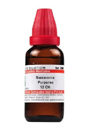 Dr. Willmar Schwabe Sarracenia Purpurea Dilution-12CH