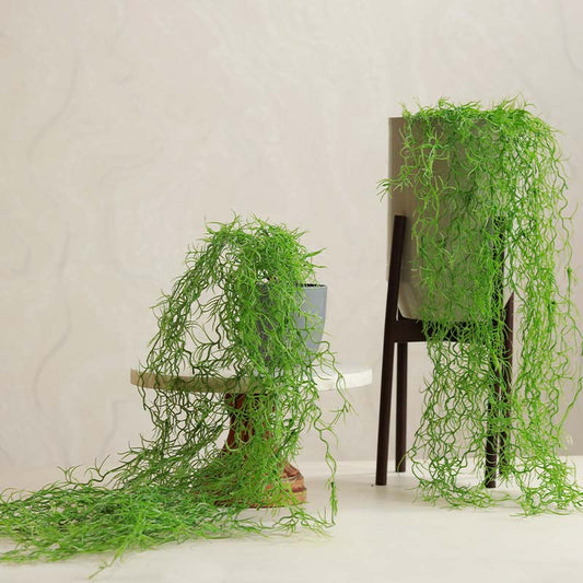 Artificial Hanging Bush in Pot | Set of 2