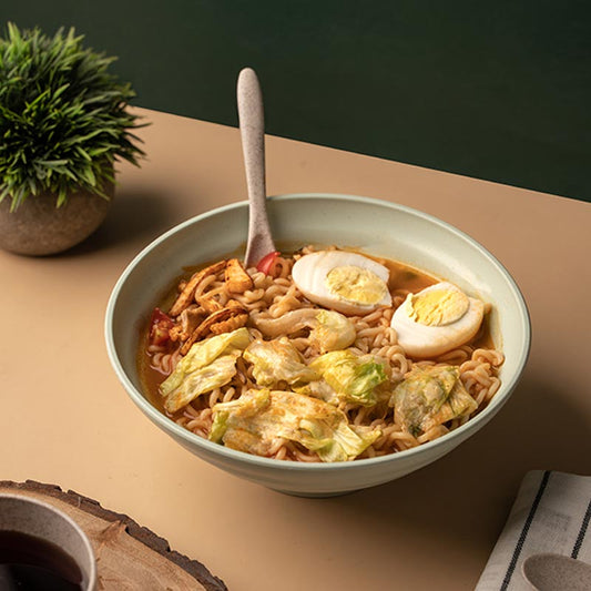 Mint Green Wheat Straw Ramen Bowls | Set of 2