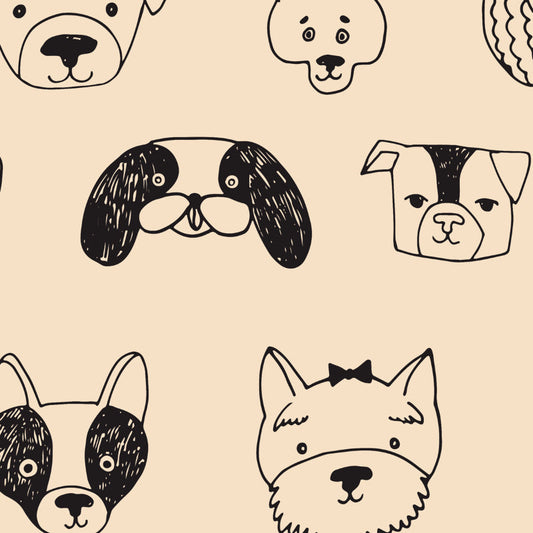 Dogs Faces Theme Wallpaper | Multiple Options
