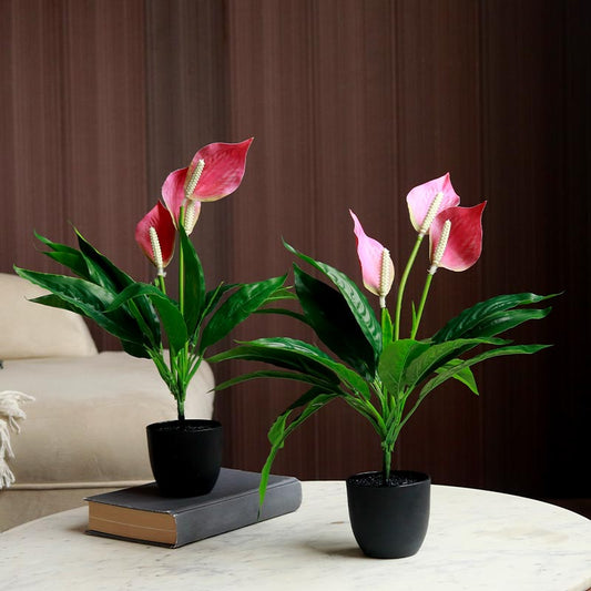 Artificial Peace Lily Plants in Pot | Set of 2 | Multiple Colors