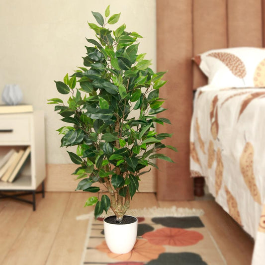 Artificial Ficus Bonsai | 3ft