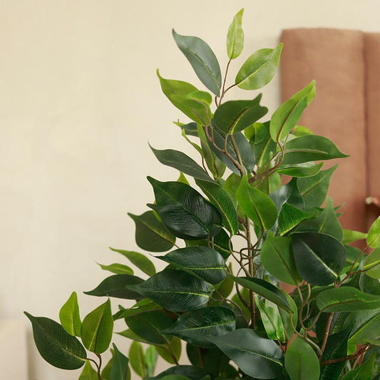 Artificial Ficus Bonsai | 3ft
