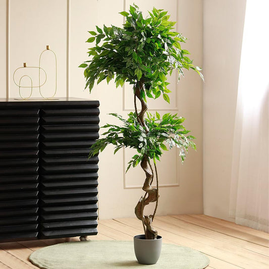 Artificial Ficus Bonsai | 5ft