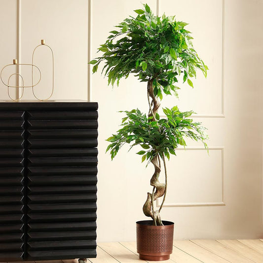 Artificial Ficus Bonsai | 5ft