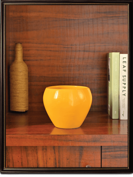 Apple Ceramic Pot | Mutiple Colors
