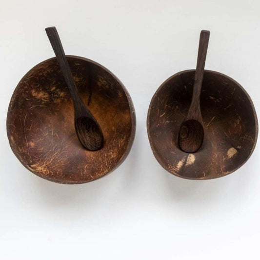 Classic Coconut Shell Bowl with Spoon Set
