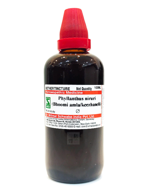 Dr. Willmar Schwabe India Phyllanthus Niruri Mother Tincture Q