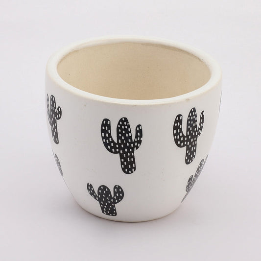 Ceramic Cactus Planter