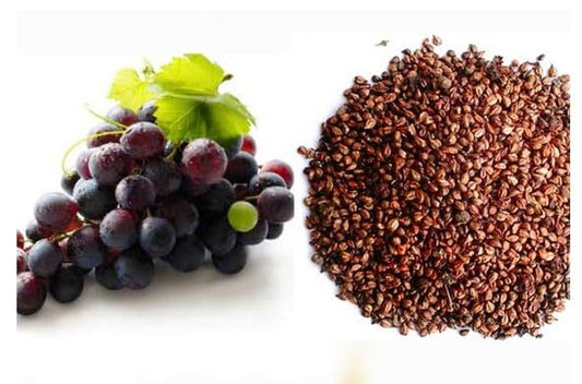 3V Products Grape Seed - 100 gms