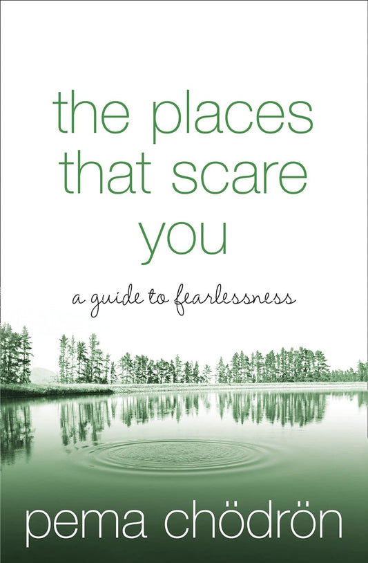 Places That Scare You (Paperback )