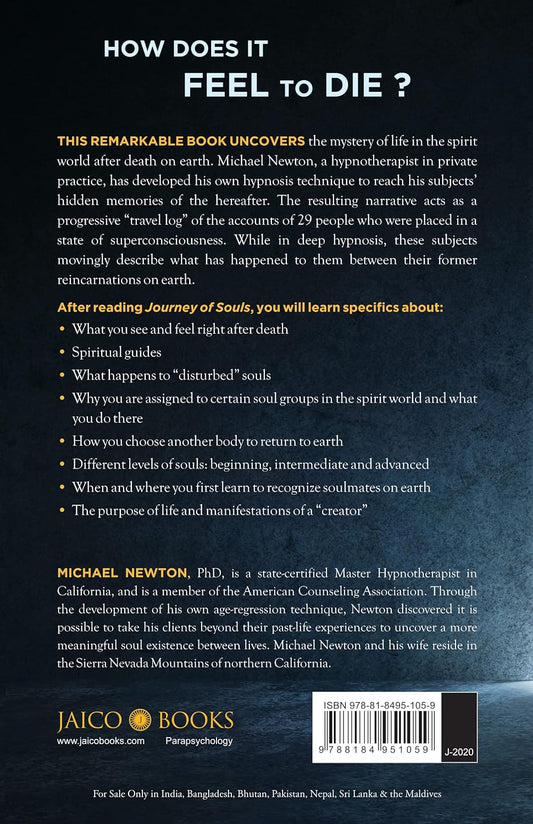 Journey of Souls -Paperback