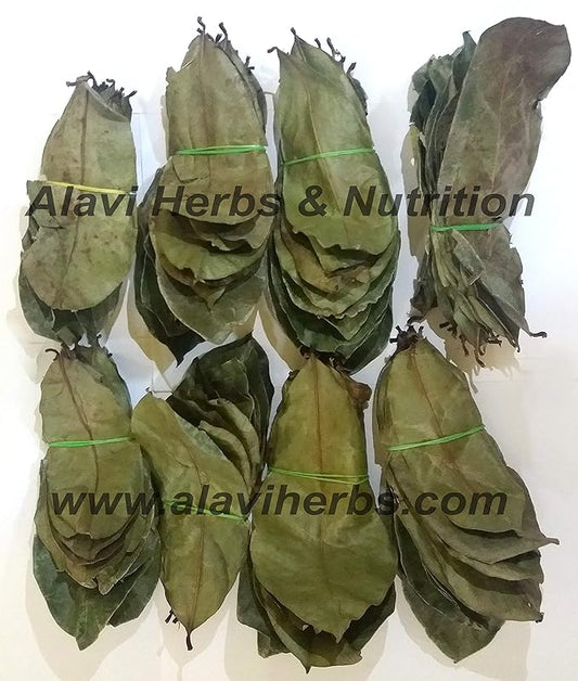 Alavi's Soursop / Graviola 240 Dry Leaves with Stems Powder - 130 gms - Pack of 3