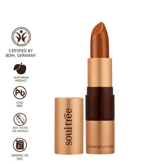 Soultree Ayurvedic Lipstick Rusty Cinnamon 840 - 4 gms