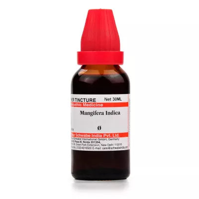 Dr. Willmar Schwabe India Mangifera Indica Mother Tincture Q