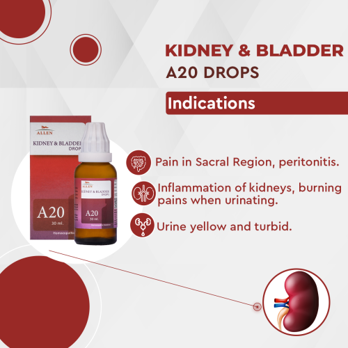 Allen Homeopathy A20 Kidney and Bladder Drops