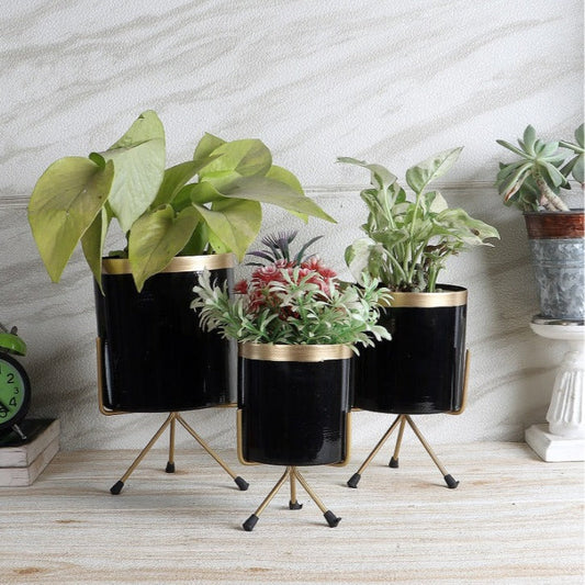 Black & Gold Metal Votive Planter | Set of 3