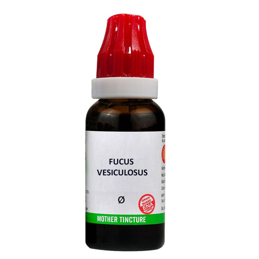 Bjain Homeopathy Fucus Vesiculosus Mother Tincture Q