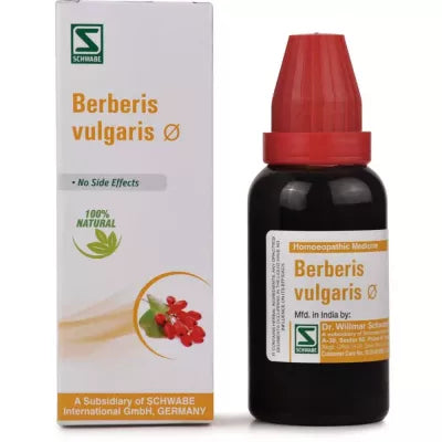 Dr. Willmar Schwabe India Berberis Vulgaris Mother Tincture Q