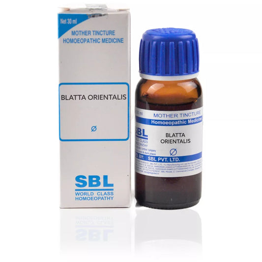 SBL Homeopathy Blatta Orientalis Mother Tincture Q