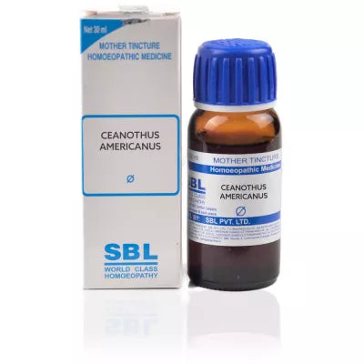 SBL Homeopathy Ceanothus Americanus Mother Tincture Q