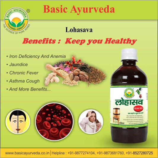 Basic Ayurveda Lohasava - 450 ml