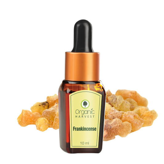 Organic Harvest Frankincense Essential Oil - 10 ml