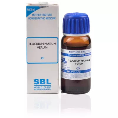 SBL Homeopathy Teucrium Marum Verum Mother Tincture Q