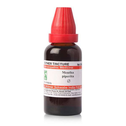 Dr. Willmar Schwabe India Mentha Piperita Mother Tincture Q