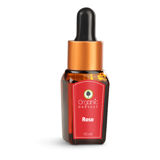 Organic Harvest Rose Essential Oil - 10 ml