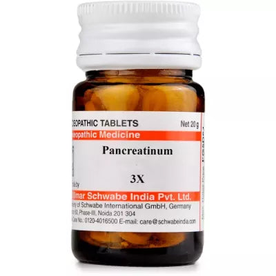 Dr. Willmar Schwabe India Pancreatinum Trituration Tablets