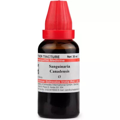 Dr. Willmar Schwabe India Sanguinaria Canadensis Mother Tincture Q