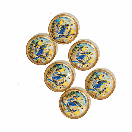 Vibrant Parakeet Print Metal Coasters | Set Of 6