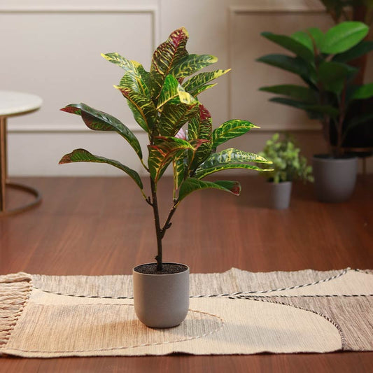 The Pacific | Artificial Croton Plant | Single, Set of 2