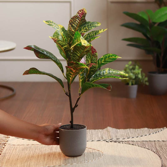 The Pacific | Artificial Croton Plant | Single, Set of 2