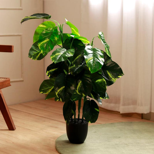 The Moz | Artificial Money Plant 3 ft. tall