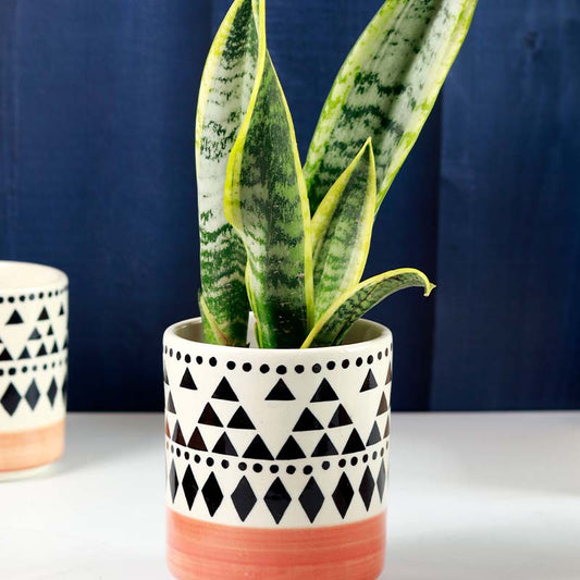 Shanya Boho Planter