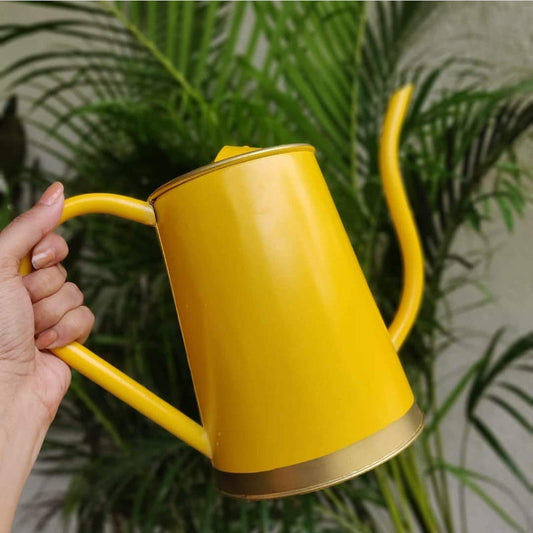 Watering Can 1.5 Litre | Multiple Colors