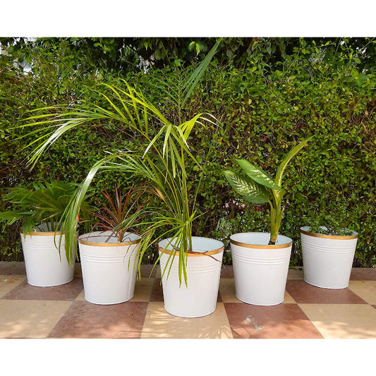 Bucket Metal Planter | Set of 3 | Multiple Colors