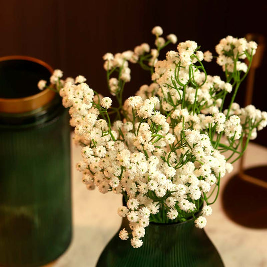 The Queen Anne's Lace | Artificial White Baby's Breath Pack of 6 flowers