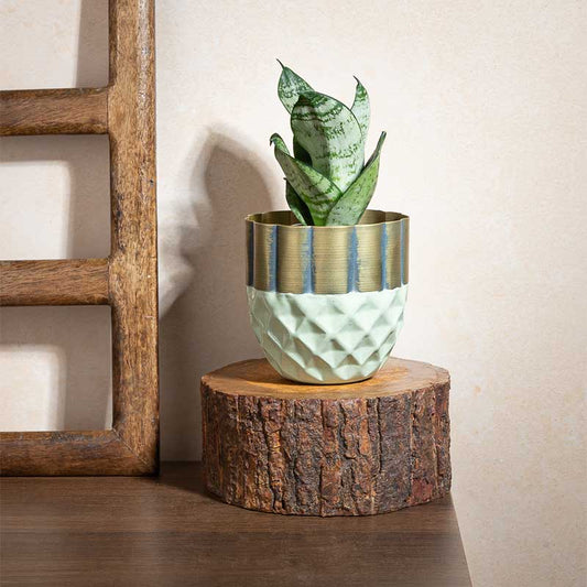 Hexagonal Harmony Planter | 5 Inch