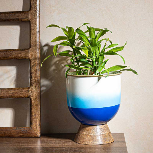 Azure Oasis Planter | 9 Inch | Multiple Colors