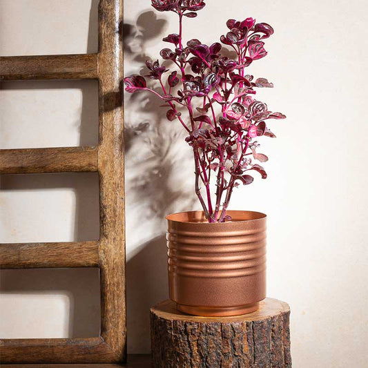 Copper Contour Planter | 5 Inch