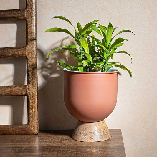 Elevated Elegance Planter | 9 Inch