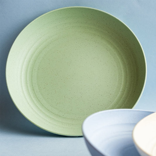 Mint Green Wheat Straw Dinner Plates | Set of 2