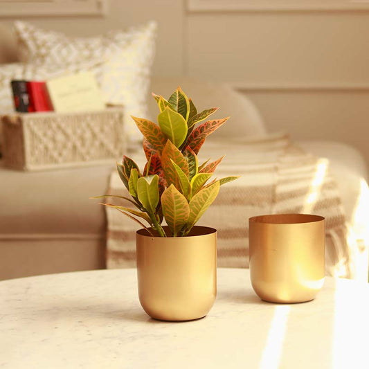 The Praya |  Set of 2 Gold Metal Plant Pots