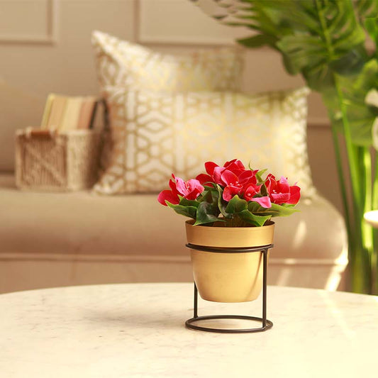 The Vienna | Gold Metal Pot with Stand