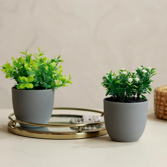 The Lilliputs | Set of 2 Small Artificial Plants | 6 inches each