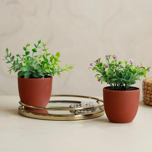 The Blossoms | Set of 2 Small Artificial Plants | 6 inches each